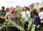 Polresta Malang Kota Gandeng Mahasiswa, Panen Raya Jagung Unggul Kontribusi Nyata Ketahanan Pangan